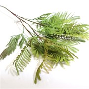 Grana mimoze 100cm zelena/crvena