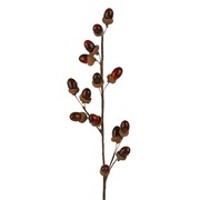 Grana žir 61cm smeđa