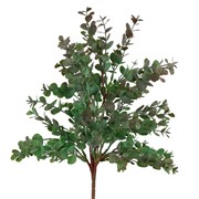 Eukaliptus grm 46cm zelena