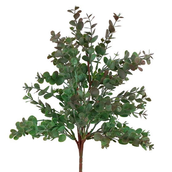 Eukaliptus grm 46cm zelena
