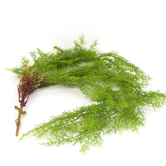 Kopar viseći grm 105cm zelena