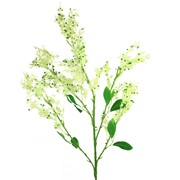 Rujevina 103cm sv.zelena