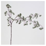 Grana cedra 135cm frost