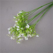 Gipsofilija 70cm bijela