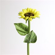 Suncokret 54cm žuta