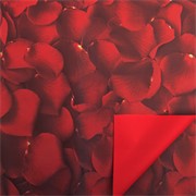 Arak kartopak Petals 70x100cm 10kom crvena