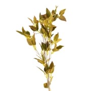 Grana breze 92cm isprana moss zelena