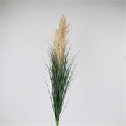 Pampas grana 90cm sv.smeđa