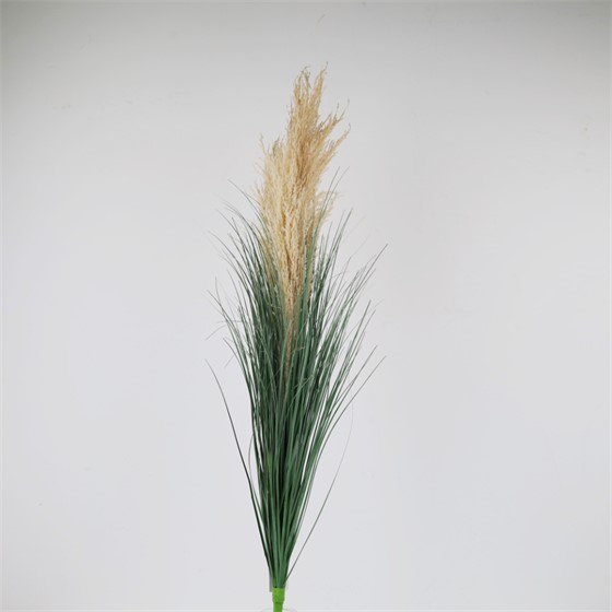 Pampas grana 90cm sv.smeđa