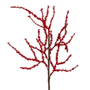 Grana crvene bobice sitne 64cm