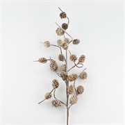 Grana mini šišarke 70cm