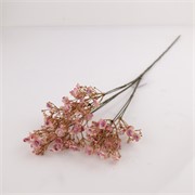 Gipsofilija suha 70cm sv.roza