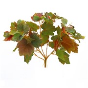 Puzavac vinova loza 42cm x7 suha zelena/smeđa