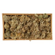Mahovina 500g natur