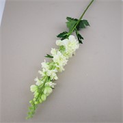 Delphinium 102cm bijela