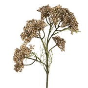Hortenzija pup suha 56cm krem/smeđa