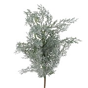 Grana čempresa zasnježena 60cm