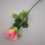 Ruža 65cm RT roza