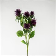 Safflower/Šafranika 79cm t. ljubičasta