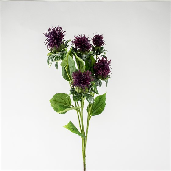 Safflower/Šafranika 79cm t. ljubičasta