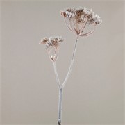 Kukuta 100cm zasnježena