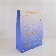 Vrećica 31x12cm h42cm točkice plavo/bijela