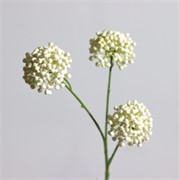 Allium pup x3 60cm bijela