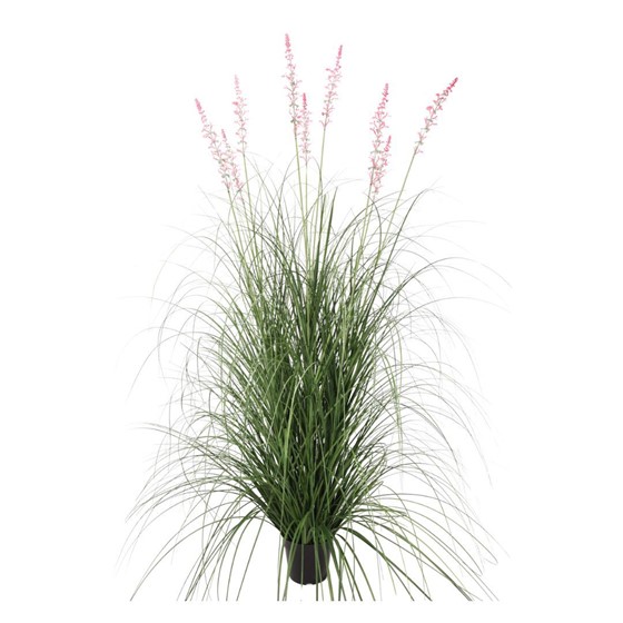 Umjetna trava Hesperaloe u posudi 127CM
