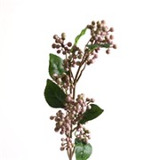 Divlja kupina 78cm ljubičasta