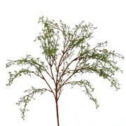 Cvijet grana suha x5 90cm maslinasta