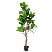 Umjetno drvo Ficus Elasica 170cm zelena