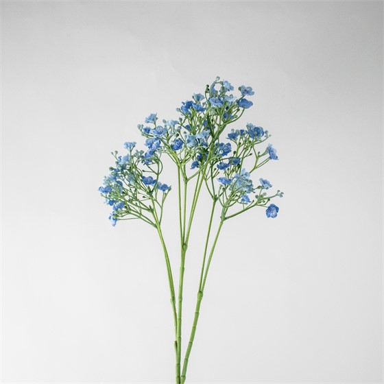 Gipsofilija 70cm sv.plava