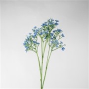 Gipsofilija 70cm sv.plava