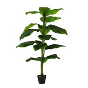 Umjetno drvo Spatifilum 170cm zelena