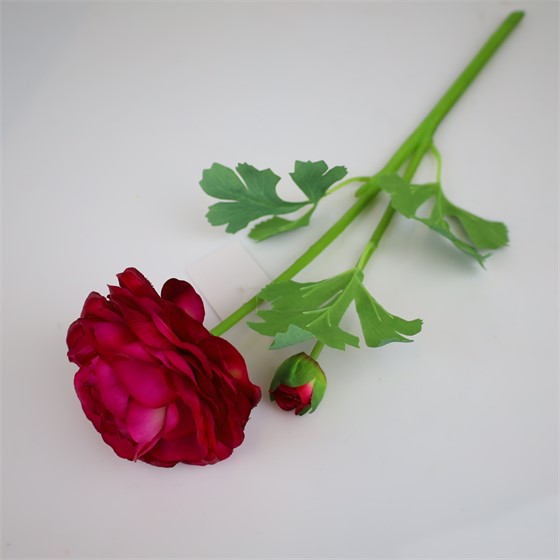 Ranunkula 47cm 1c+1p RT beauty ljubičasta