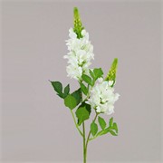 Delphinium/kokotić 75cm bijela