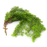 Grm, viseće umjetno zelenilo 105cm t.zelena