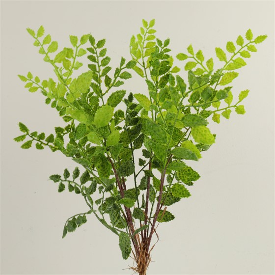 Grana s listićima 60cm zelena/bijela