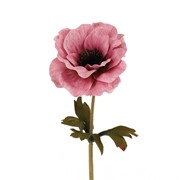 Anemona suha 35cm roza