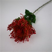 Protea 73cm crvena