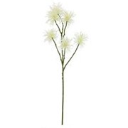 Xanthium/Dikica 81cm krem