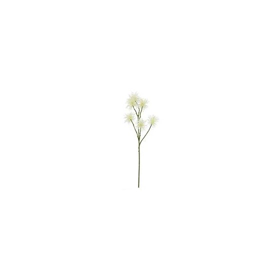 Xanthium/Dikica 81cm krem