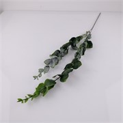 Eukaliptus 90cm t. zelena - patina
