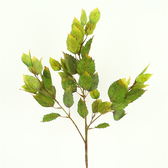 Grana list hibiskusa 86cm zelena