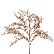 Cvijet grana suha x5 90cm smeđa