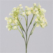 Gipsofilija suha 46cm krem