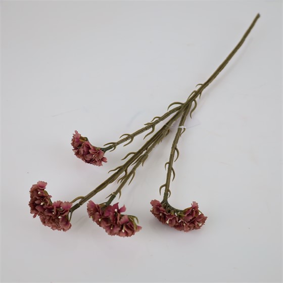 Limonium x4 suhi 64cm mauve
