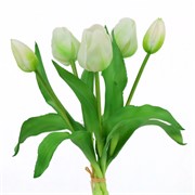 Tulipan buket x5 33cm bijela