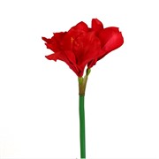 Amarilis x3 60cm crvena