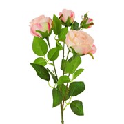 Ruže 3c+1p 65cm krem/roza